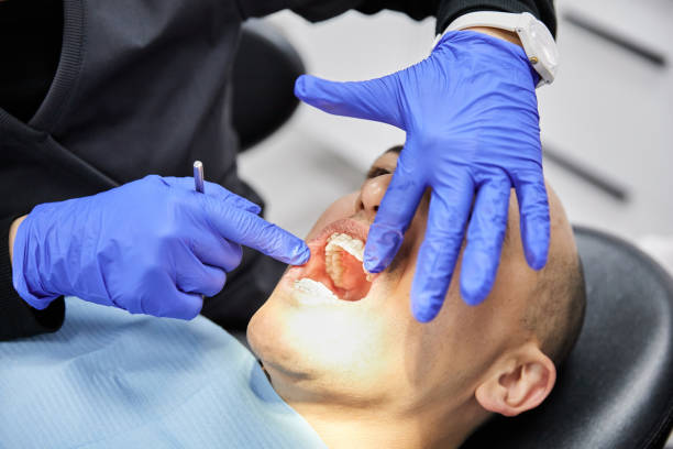 Best Emergency Orthodontic Repairs in Nogales, AZ